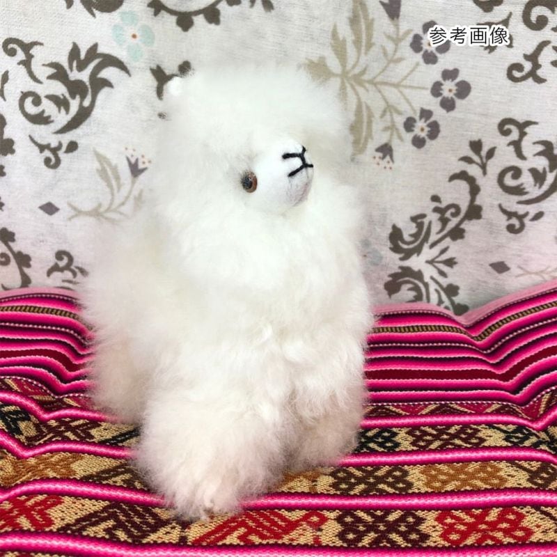 Alpaca Teddy - 150mm