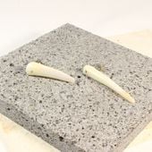 Gothic Shell Earrings for pierced ears