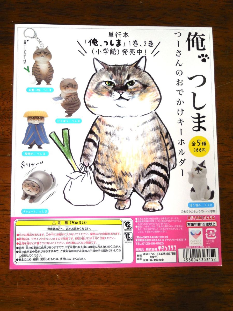 俺、つしま　つーさんのおでかけキーホルダー　全5種コンプリートセット