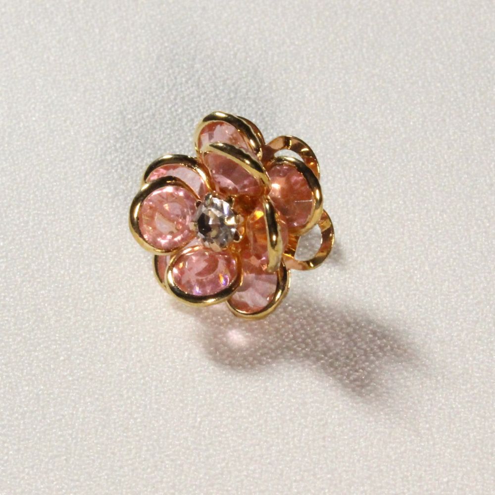 Alice's Adventures in Wonderland Earrings for pierced ears