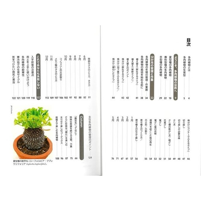 よくわかる栽培１２か月　多肉植物