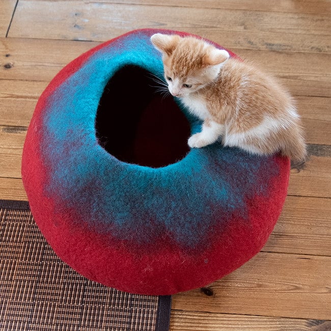 Nepal felt Cat Igloo　Blue&Red