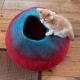 Nepal felt Cat Igloo　Blue&Red