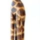 Wooden Giraffe L