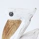 Wooden Pelican S