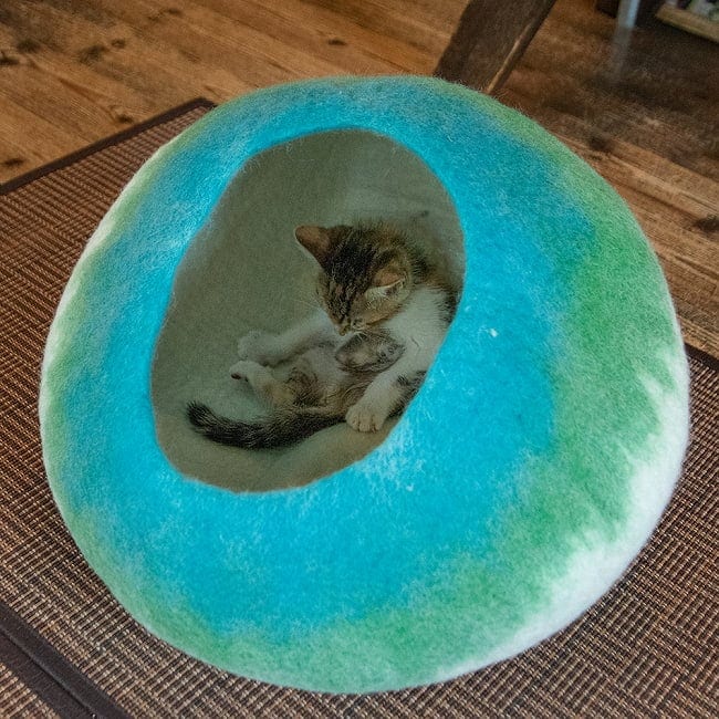 Nepal felt Cat Caves