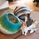 Nepal felt Cat Caves