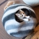 Nepal felt Cat Caves