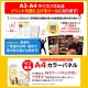 二次会 景品 ネスカフェ ゴールドブレンド バリスタ 【ハーゲンダッツ等の中から選べる豪華グルメ 景品7点セット】 目録 A3パネル付｜有効期限無し 結婚式 ビンゴ イベント おすすめ