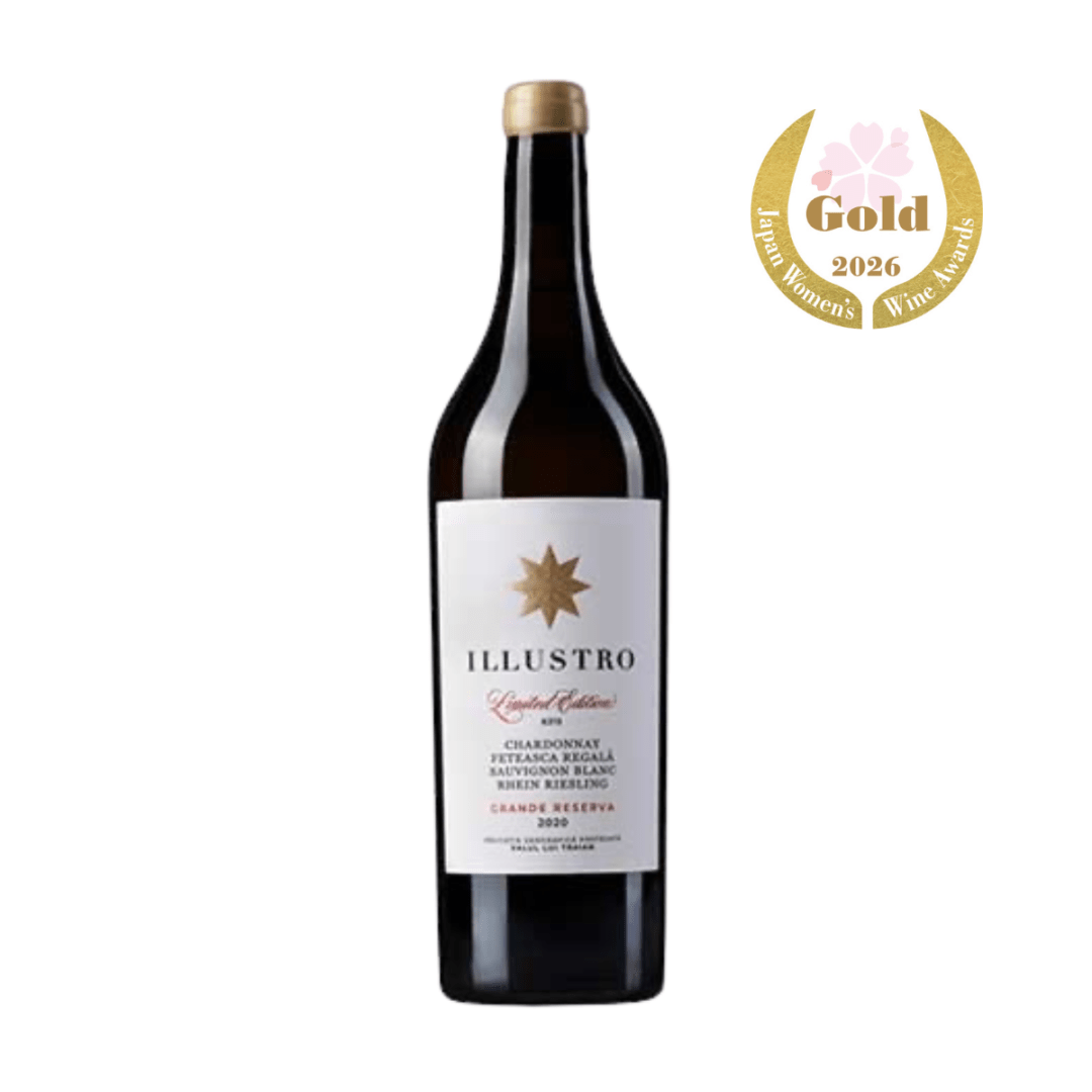 ファウター イラストロ　ホワイト2022【0826】