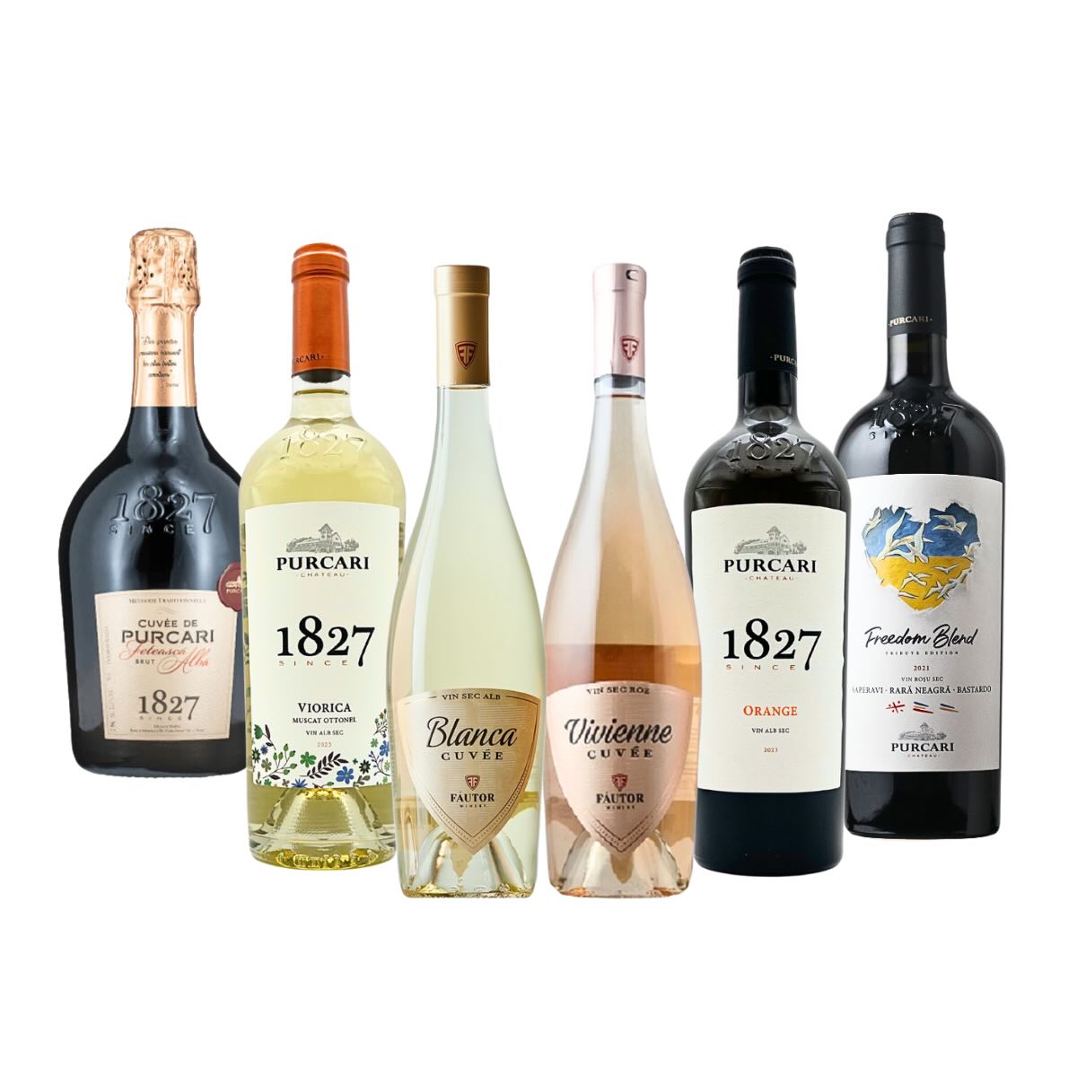 新作＆春を先取る人気の6本セット【0126】 | 【1/31(土)販売開始】春の