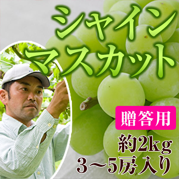 贈答用】2kg箱 三枝さん自慢のシャインマスカット | 山梨の桃 美味しい