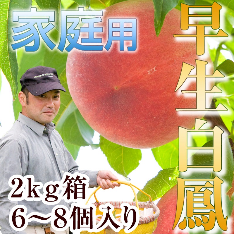 ˱ϡ2kgȢ˱Ǥء6ܡ7ܡˡڤʲѡ