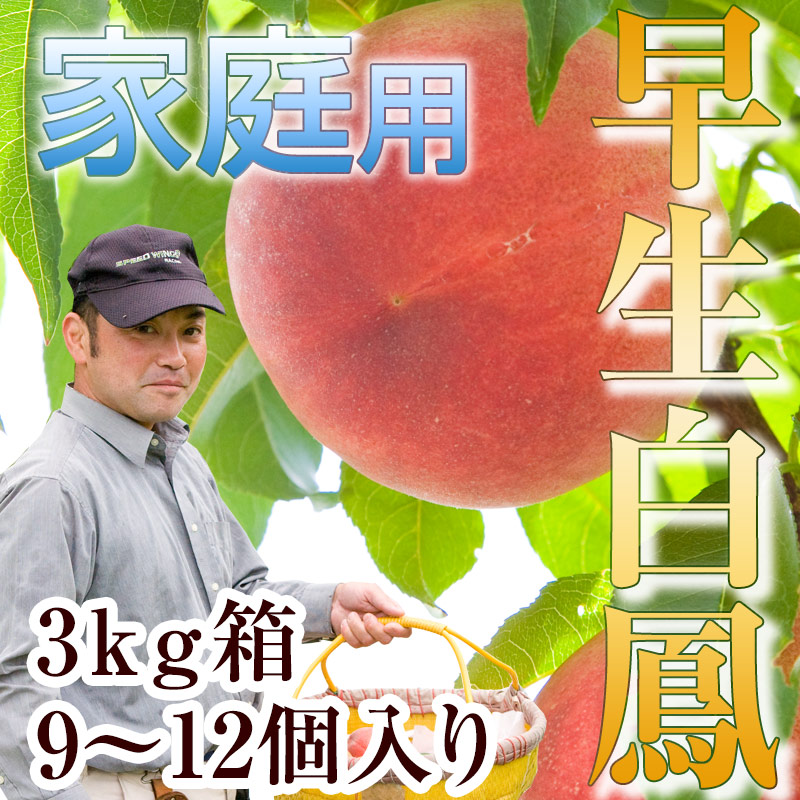 早生白鳳系】3kg箱 三枝農園の早生白鳳お任せ便（6月下旬～7月中旬