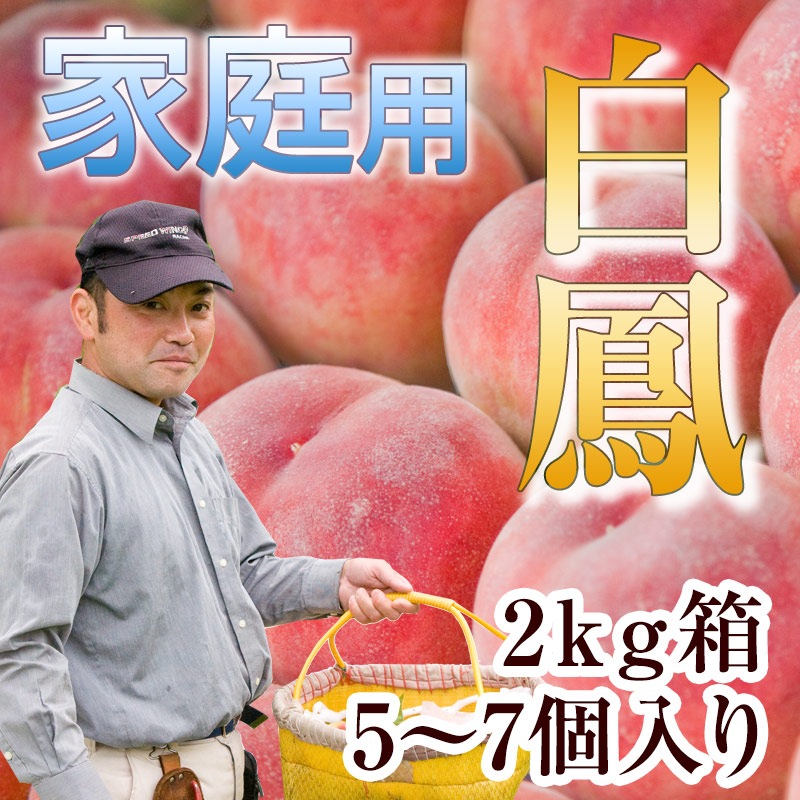 ����˱��2kgȢ����������δš�������γ����˱���ڤ����ʲ����ѡ�