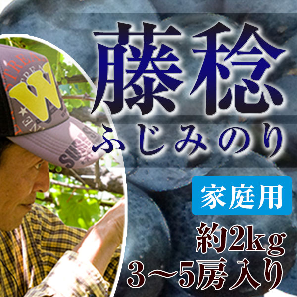 ご家庭用】2kg箱 奧山さんが丹精込めて栽培した藤稔 ご家庭用に ご家庭用】2kg箱 奧山さんが丹精込めて栽培した藤稔 ご家庭用に