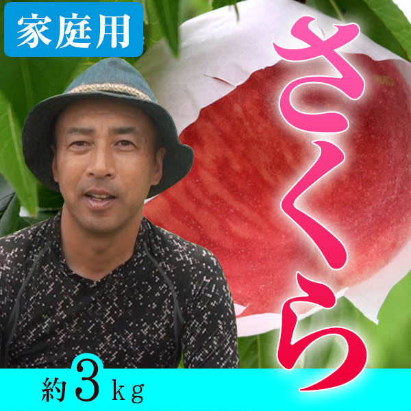 �ڲ����ѡ���3kg��ŹĹ����β����Ѥ�����������