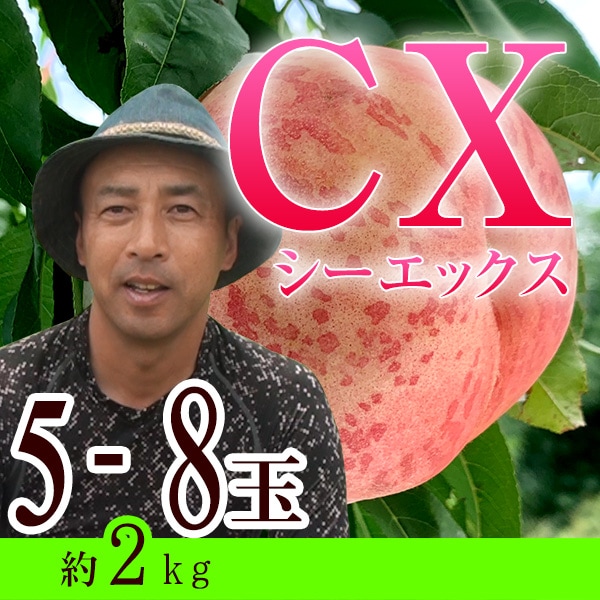 固い桃好きな方へ】約2kg 5～8玉入り 店長田中の超晩生品種 CX（シー
