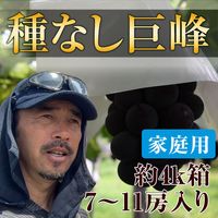 �ڤ������ѡ�4kgȢ��ŹĹ����μ�ʤ��������������Ѥˤɤ�����