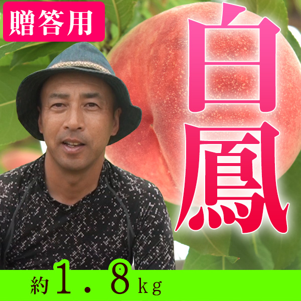 ��£���ѡ���1.8kg�����յͤᡡŹĹ�������˱