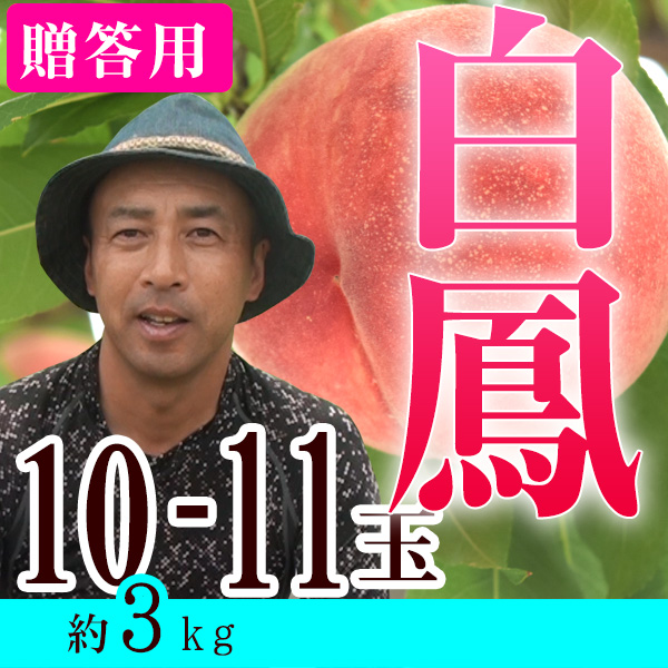 ��£���ѡ���3kg 10��11�����ꡡŹĹ�������˱