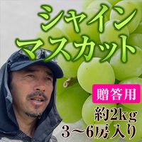 ��£���ѡ�2kgȢ��ŹĹ����Υ��㥤��ޥ����å�