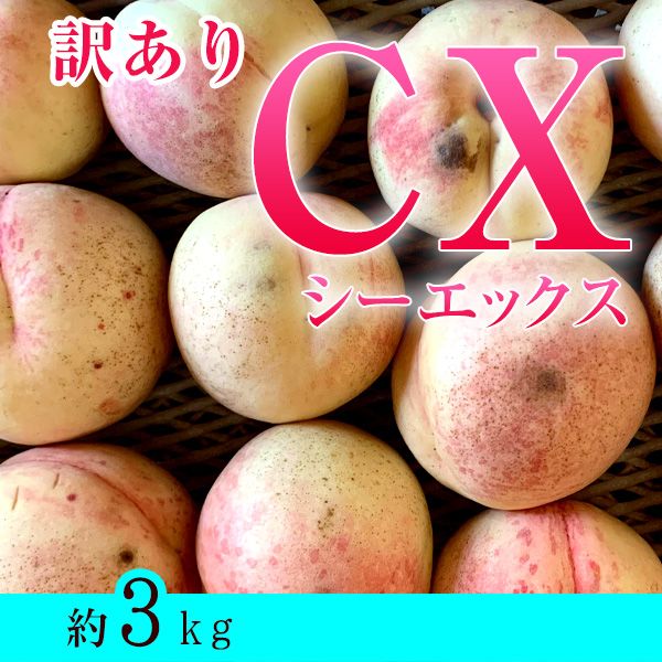 �����������3kg���յͤᡡŹĹ�����Ķ�����ʼ������CX�ʥ������å�����
