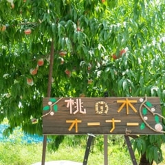 ڥʡٿ 2025ǯ١ںǯ٤μդϽλޤ