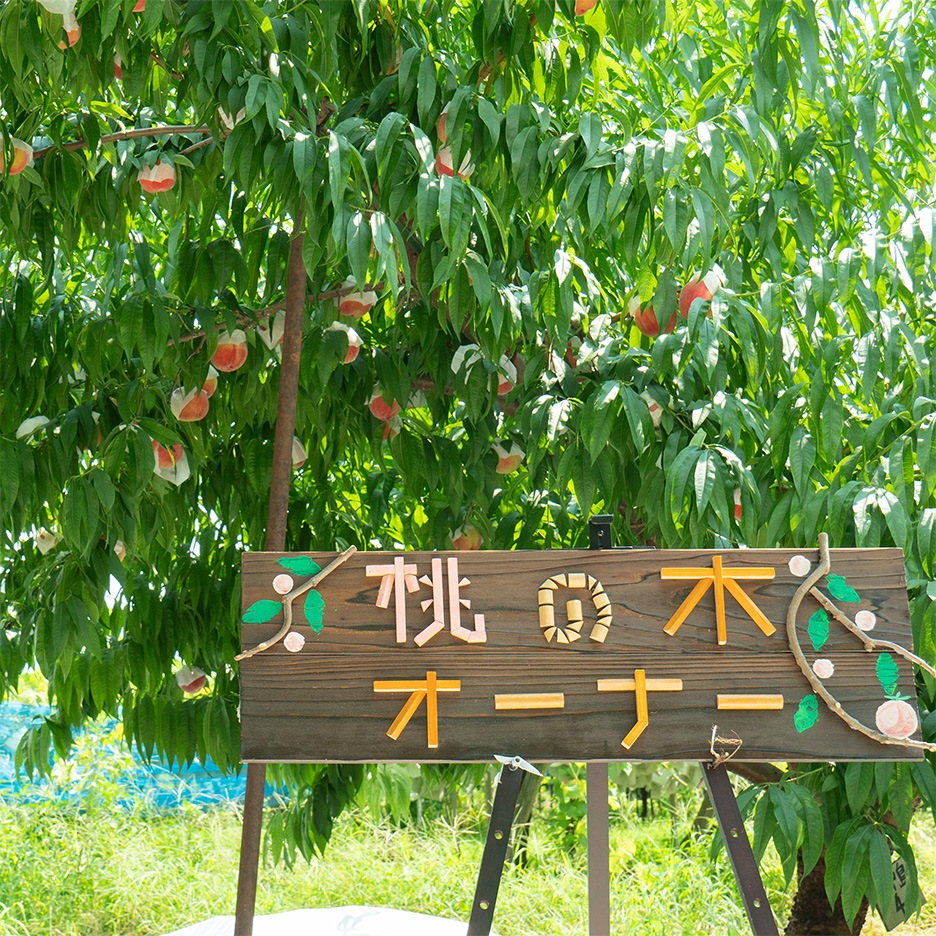 ڥʡٿ 2025ǯ١ںǯ٤μդϽλޤ