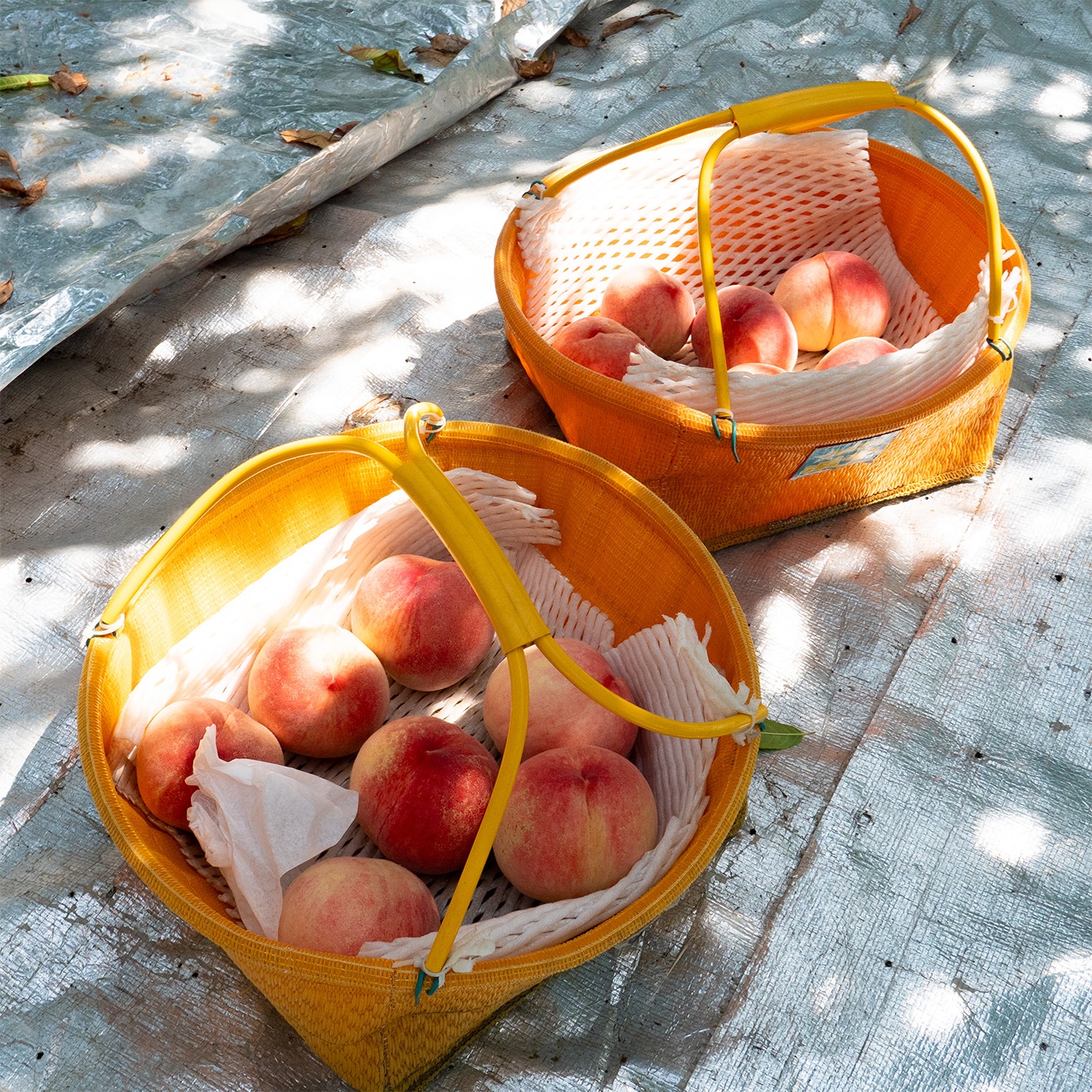 ڣܥʡٿ 2025ǯ١ںǯ٤μդϽλޤ