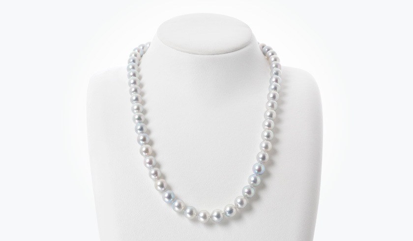 ������ʥ����륰�졼�ܿ���7.5-8.0mm�ѡ���ͥå��쥹���å�