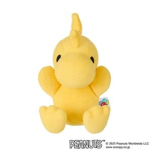 セキグチファンダイレクトショップ本店
