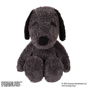 セキグチファンダイレクトショップ本店