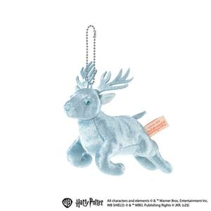 セキグチファンダイレクトショップ本店