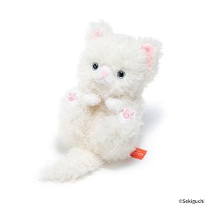 セキグチファンダイレクトショップ本店