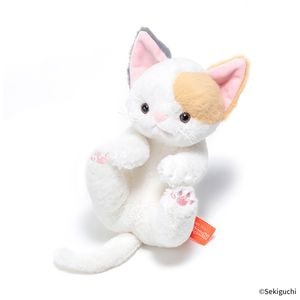 予約】 ころりんぬいぐるみ ねこ しろふわ|【ぬいぐるみのセキグチ