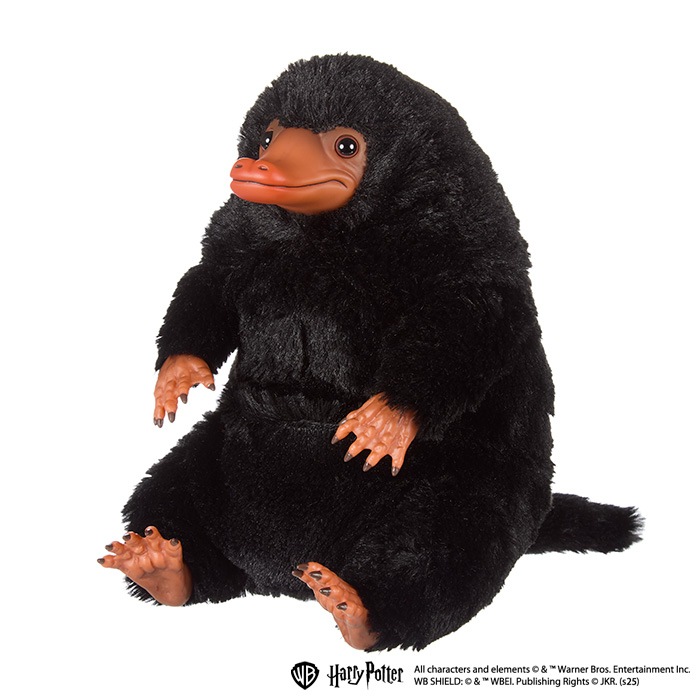 �̤��ե����� �˥ե顼