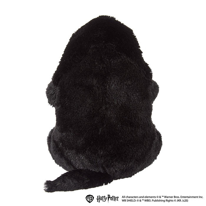 �̤��ե����� �˥ե顼