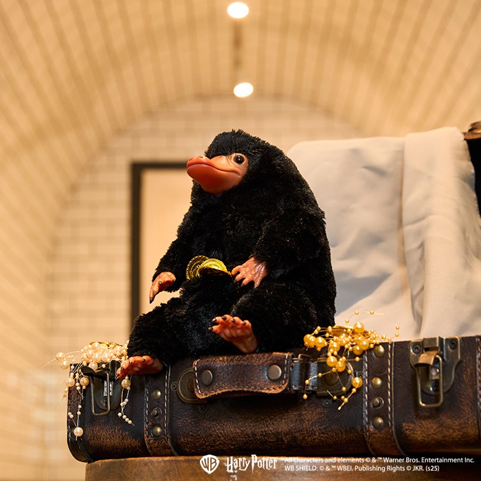 4_000000002702.jpg?1762311404