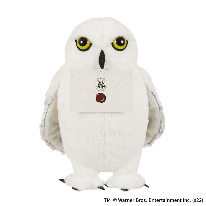 �إɥ����� �̤������