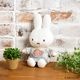 MIFFY CHECK �̤������