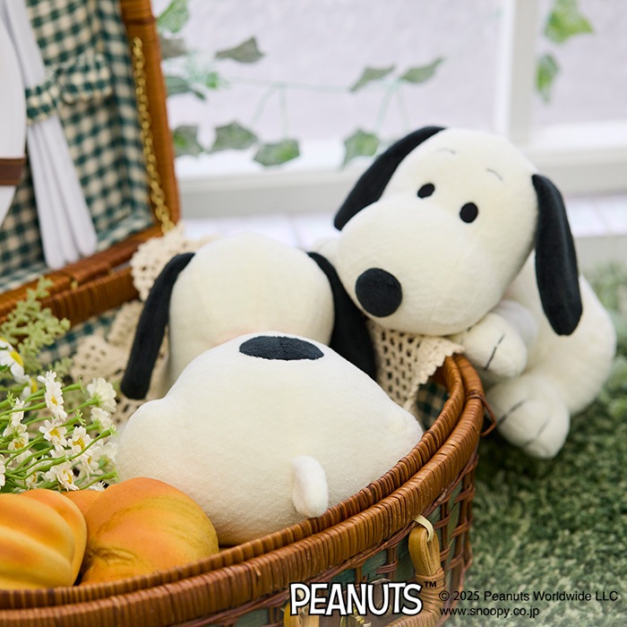 SNOOPY - 保育士スモック　スヌーピー　　　　　　　　　　　　　　　　　　　　　大きいサイズ Amazon.co.jp: スヌーピー 大きいサイズ LL-3L エプロン 保育士