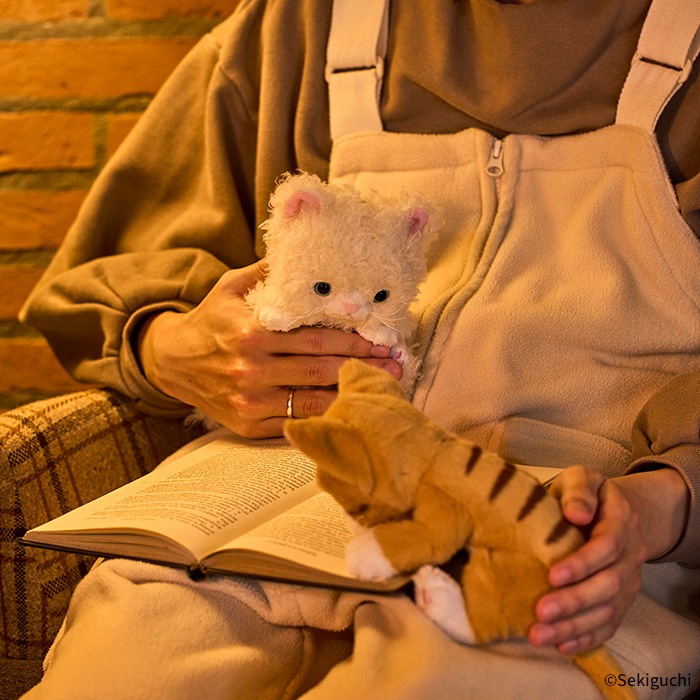 予約】 ころりんぬいぐるみ ねこ ちゃとら|【ぬいぐるみのセキグチ