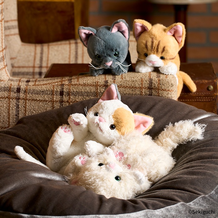 ��ͽ��� �������̤������ �ͤ� ����Ȥ�