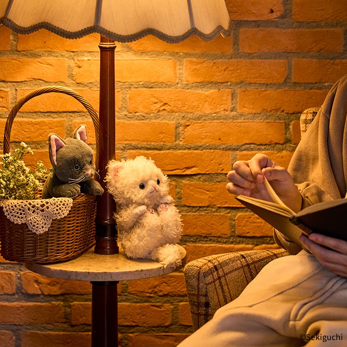 予約】 ころりんぬいぐるみ ねこ しろふわ|【ぬいぐるみのセキグチ