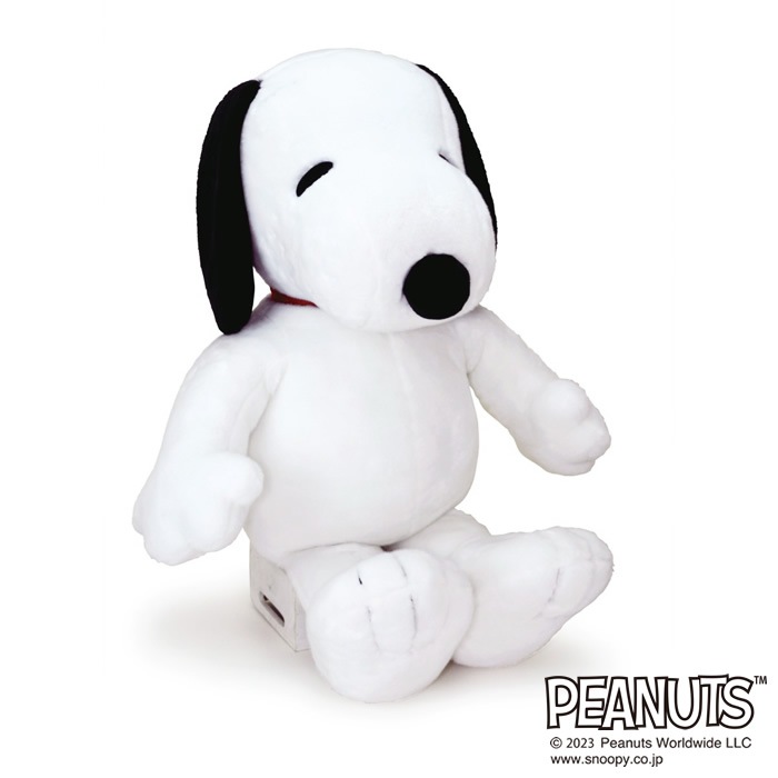 ���̡��ԡ�����������ɤ̤������ 3L������