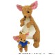 Winnie the Pooh ���󥬡��롼