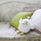�֥롼���������� �ڥ��� �̤������