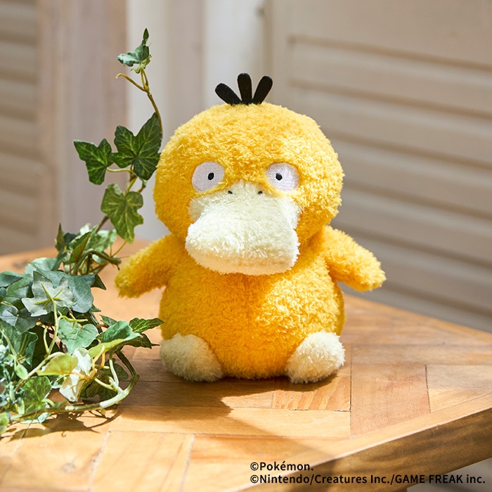 コダック もこもこぷち|【ぬいぐるみのセキグチ】メーカー公式通販