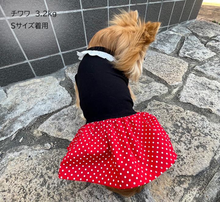 【在庫処分セール・さらにクーポン利用可】　犬服　ドッグウェア　dogwear　チェック　ドット　ペット服　猫服　リンクコーデ　スカート付きワンピース　タンクトップ（S.M.L.DS.FB-M）